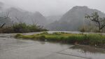 北郊湖雨景