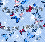蝴蝶 大牌 矢量