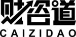 财咨道财务工作室logo标志