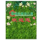 绿植文化墙