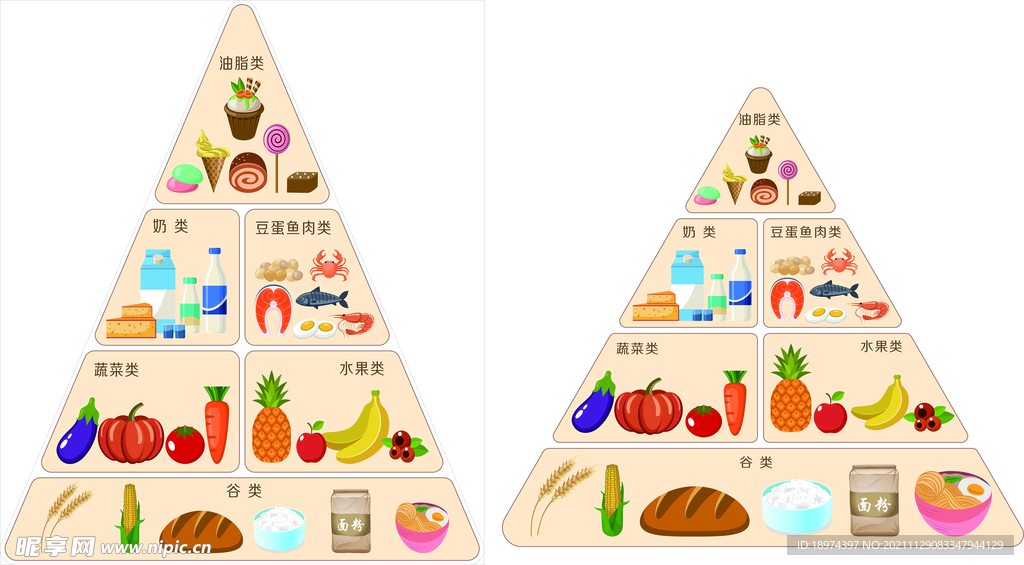 金字塔营养食物