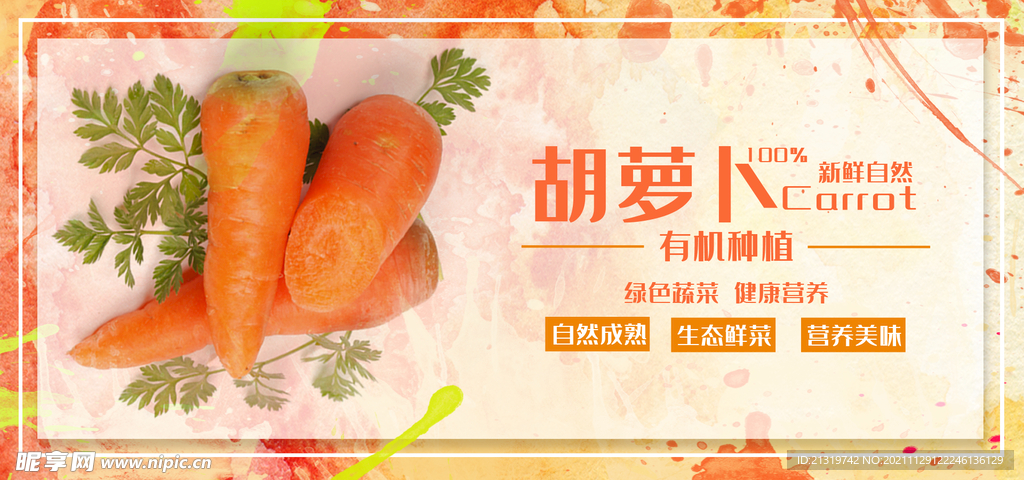 胡萝卜banner