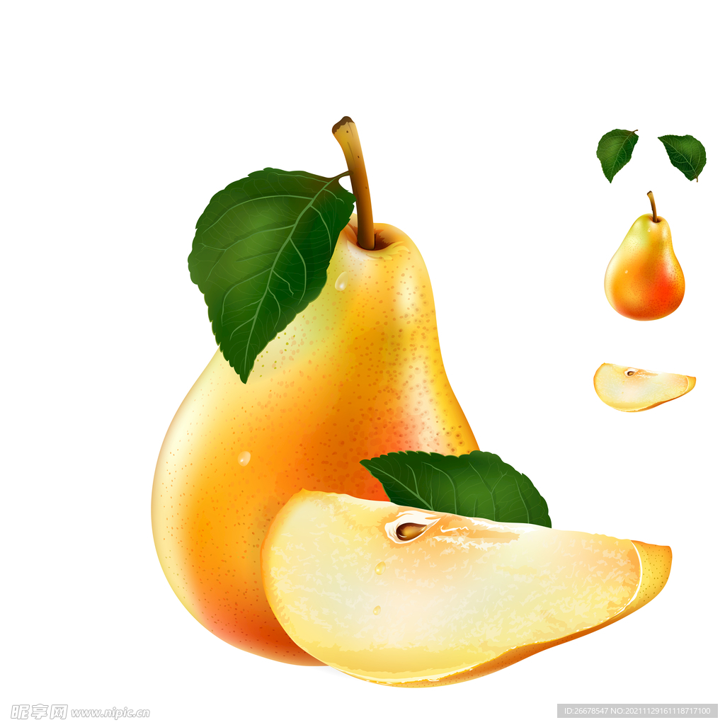 梨子矢量