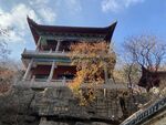 深秋寺院古塔