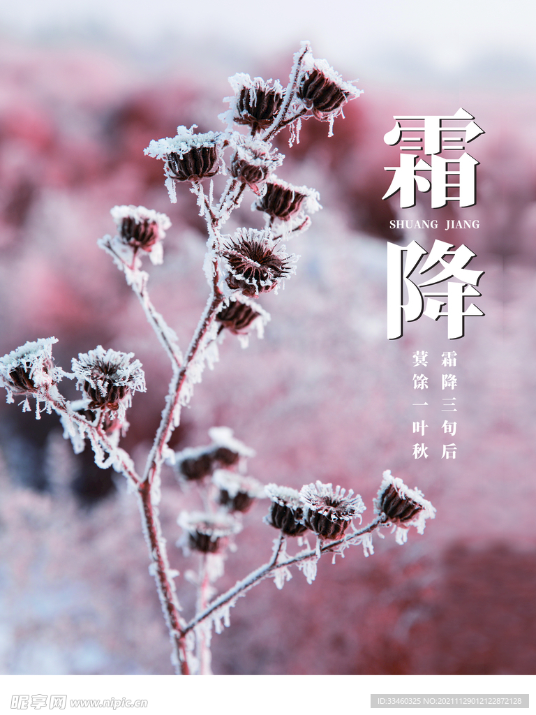 霜降