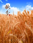 秋分