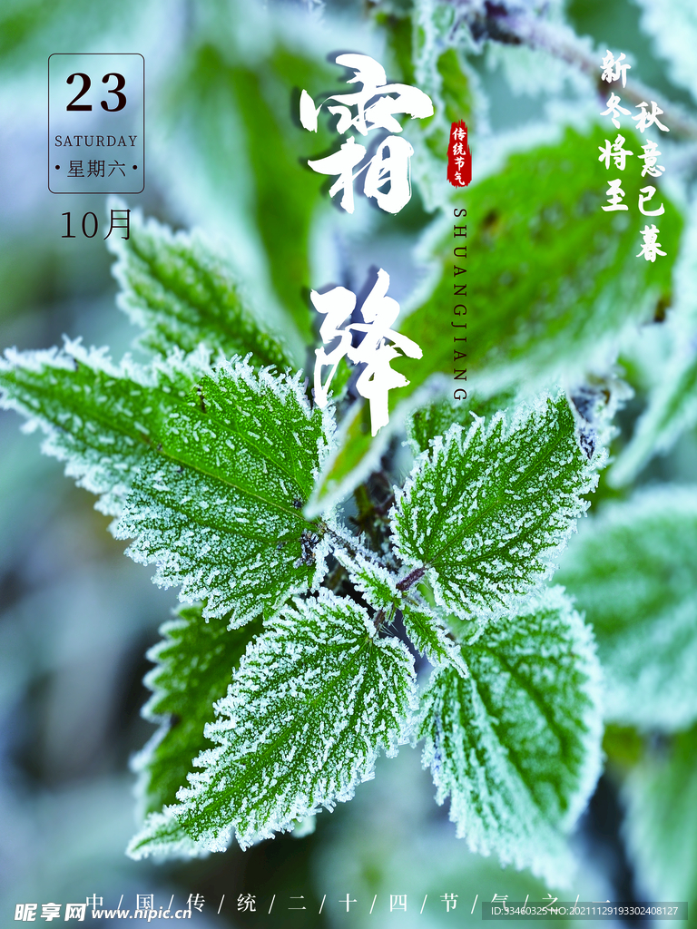 霜降