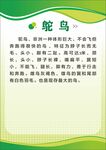 动物园简介