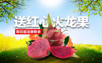 火龙果