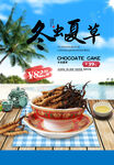 冬虫夏草