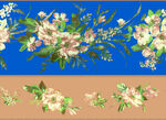 小黄花