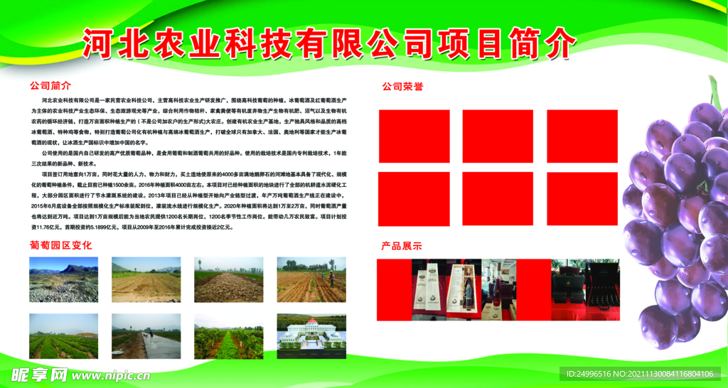 公司简介