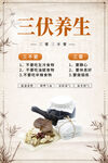 白色简约中式夏日三伏天海报