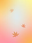 季枫叶背景