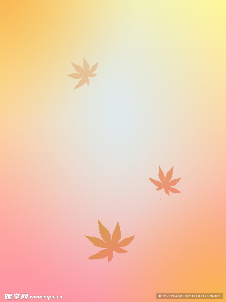 季枫叶背景