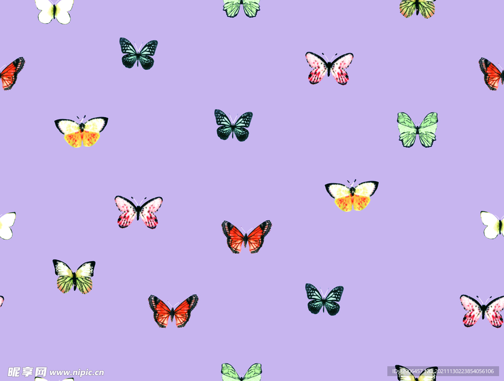蝴蝶