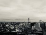 甲府城鸟瞰