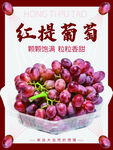红提葡萄