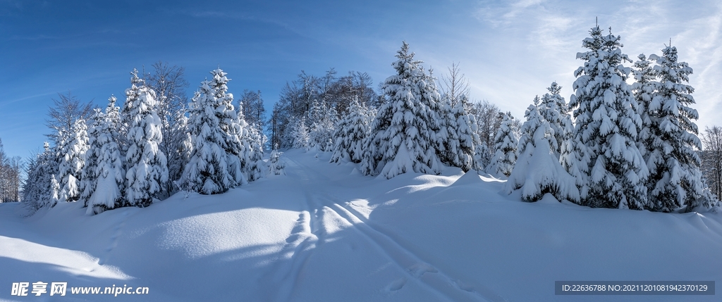 雪景