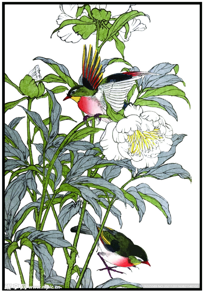 花鸟装饰画 