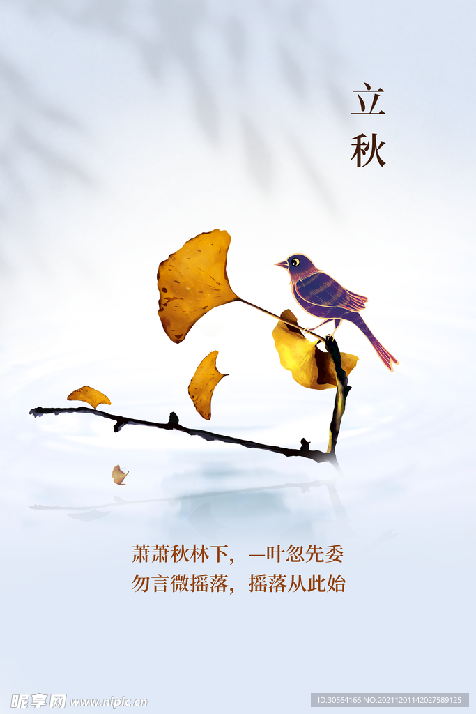 立秋