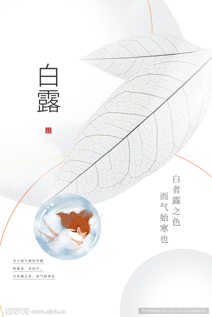 白露