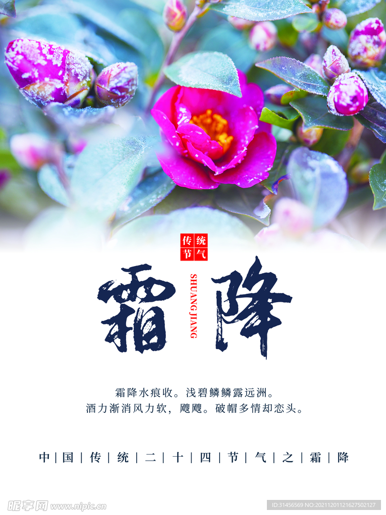 霜降