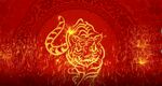  虎年庆典新年喜庆