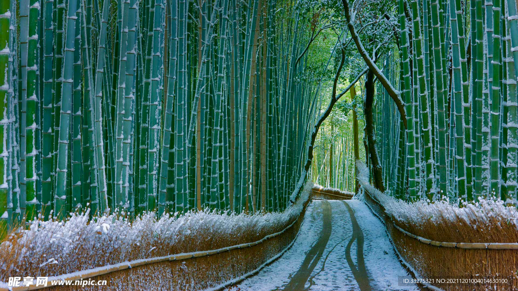 竹林
