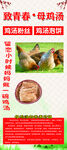 致青春母鸡汤
