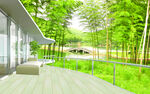 3D立体空间竹林风景