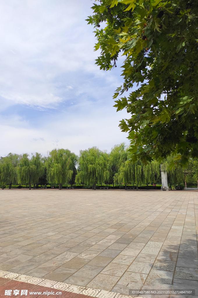 风景