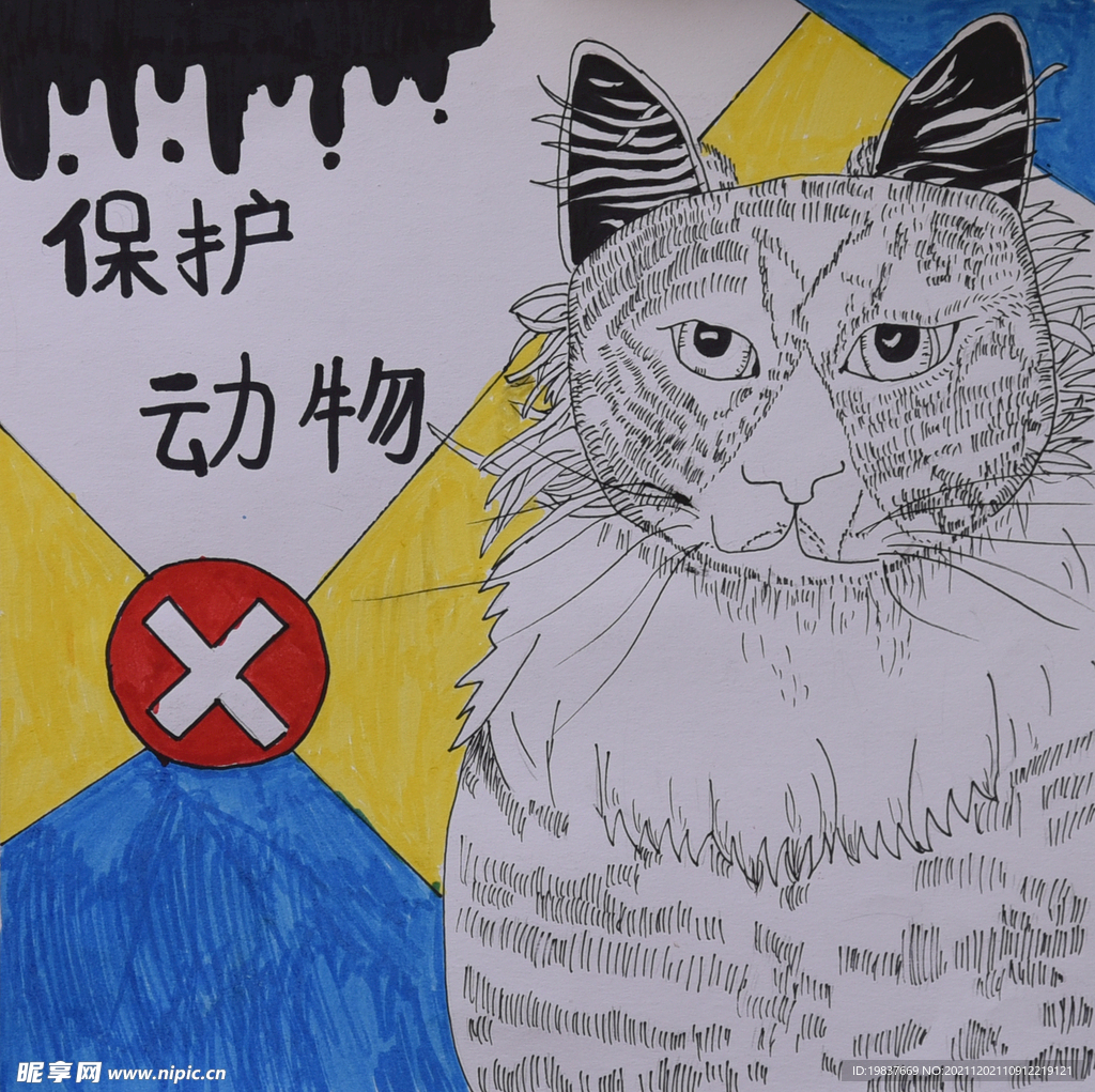 保护动物
