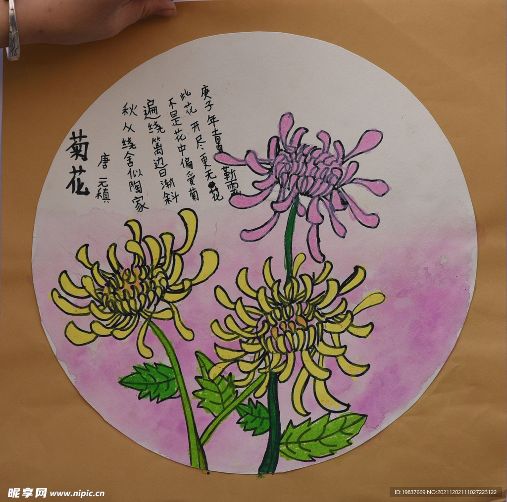 菊花