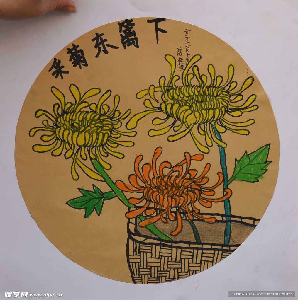 采菊