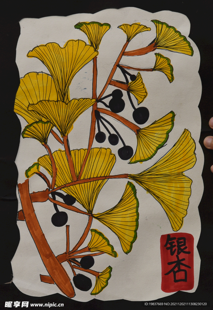 西峡银杏