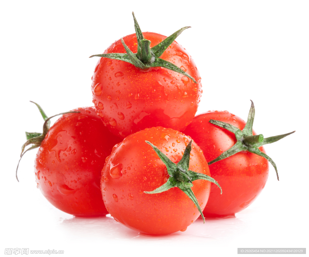 采摘下来直接吃！五彩小番茄“甜蜜”上市