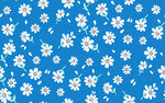 小花