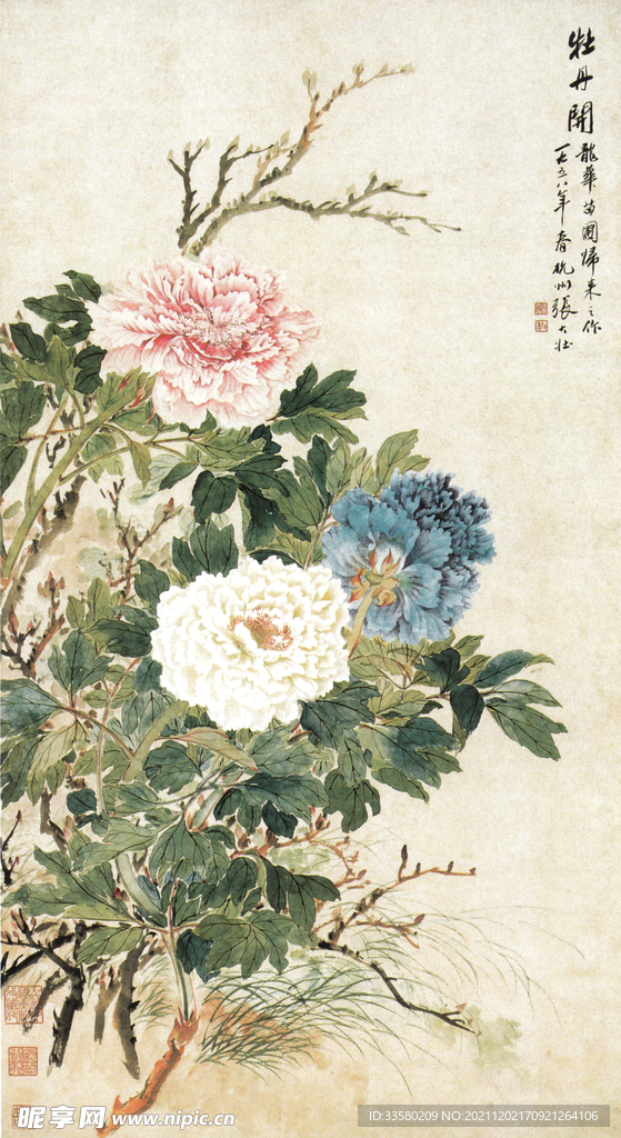 牡丹