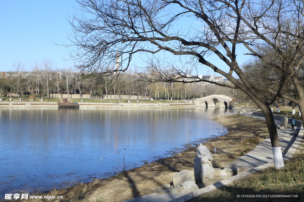 冬日风景 