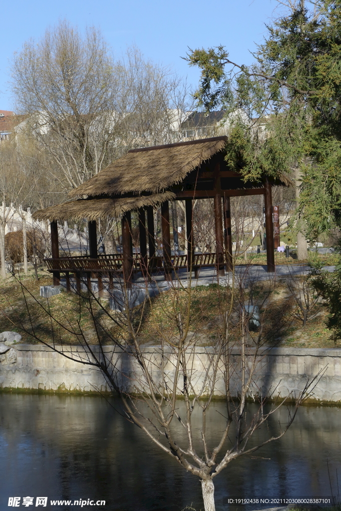 冬日风景  