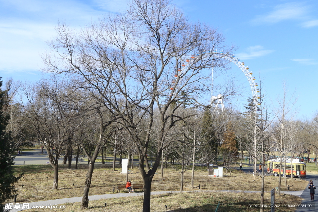 冬日风景  