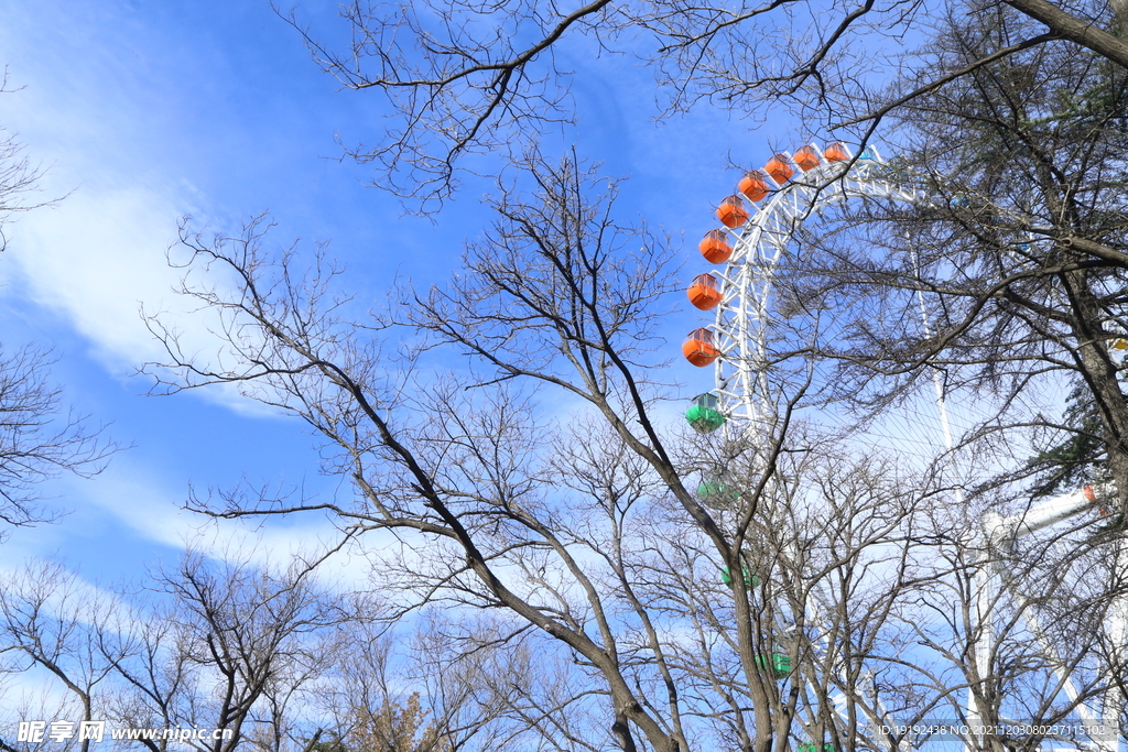 冬日风景 