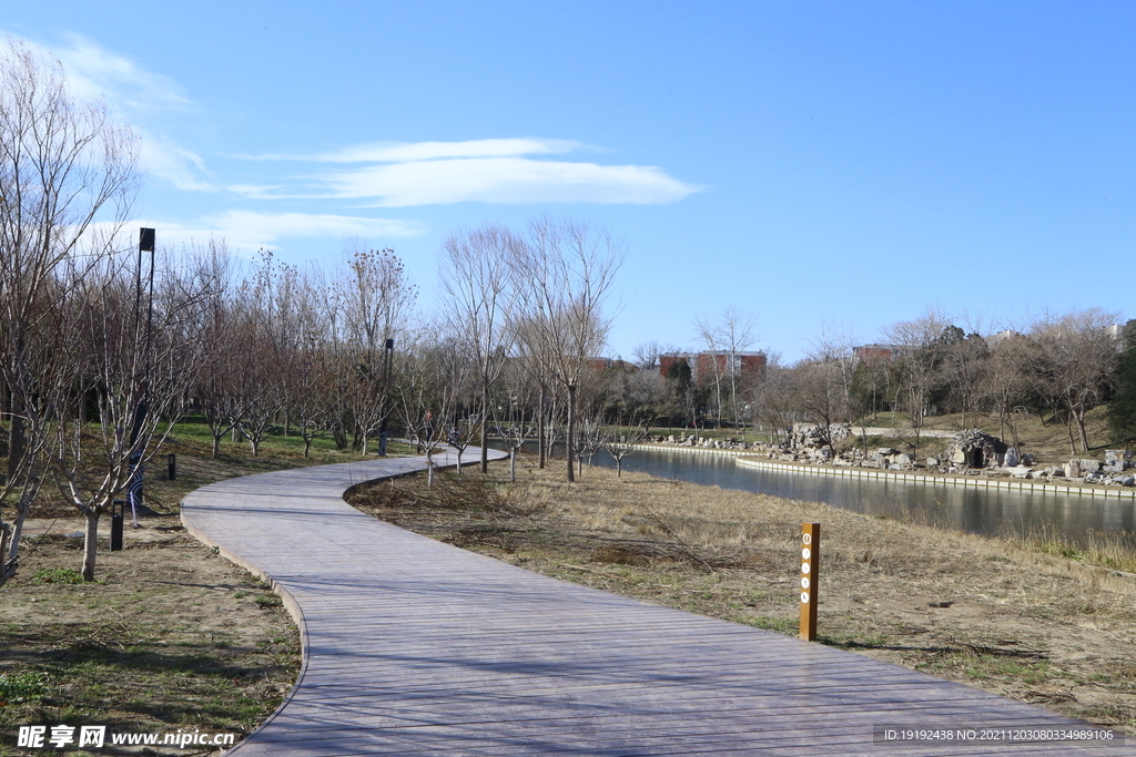 冬日风景  