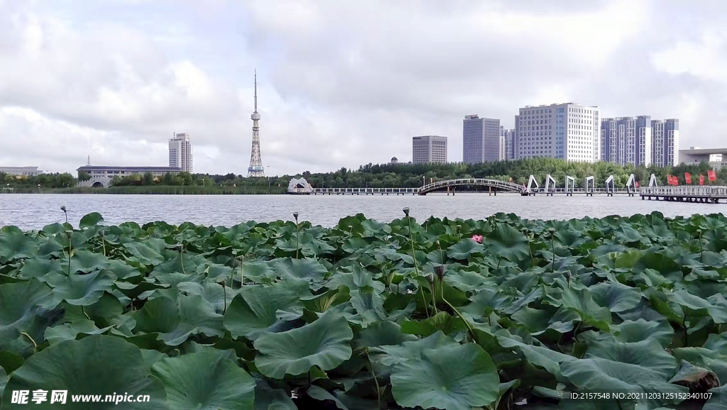 湖风景