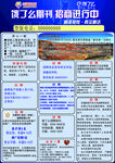 期刊 海报