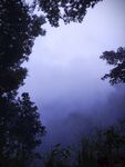 山雾