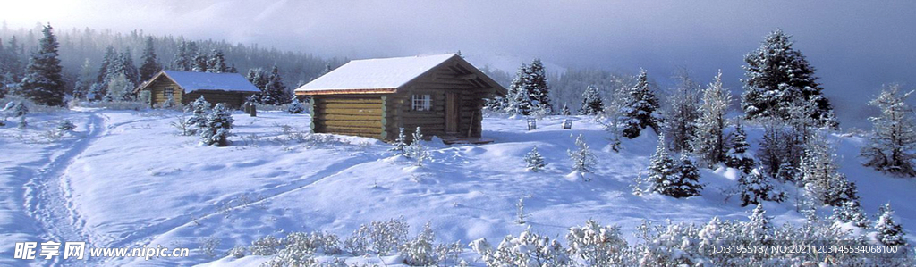 冬天雪地背景