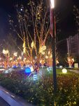 路边夜景