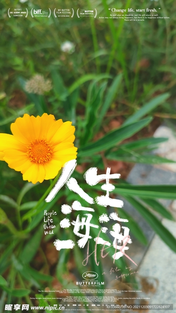 夏天的花